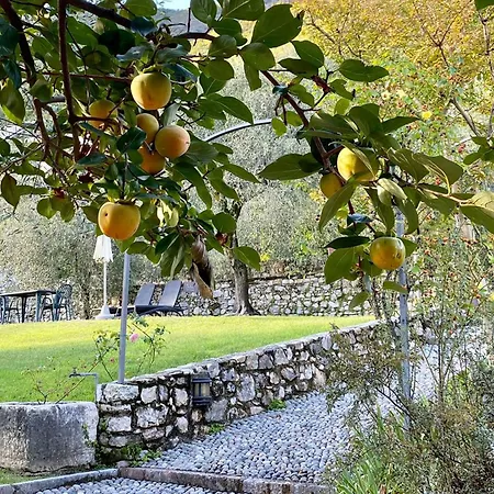 Casa Caterina Gargnano